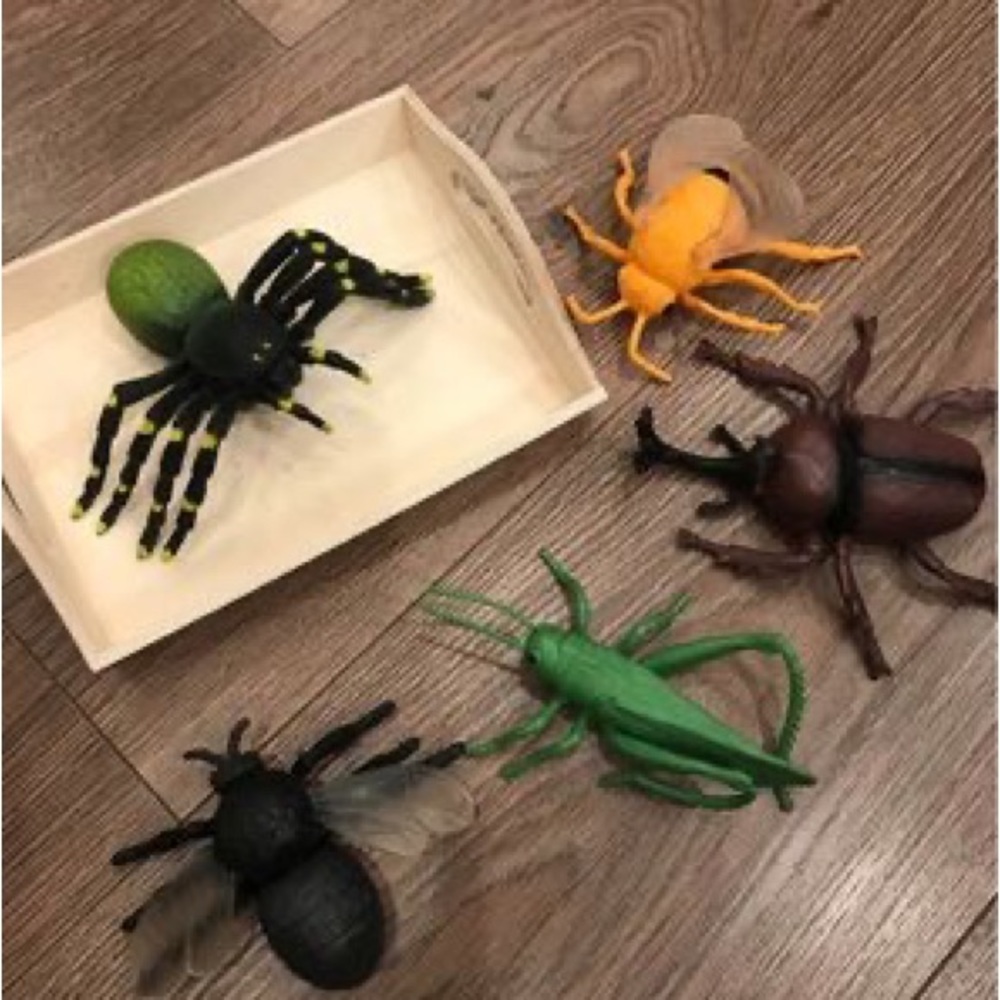 5 Backyard Bugs Creatures Figures + 1 Wooden Tray Early Development Toy